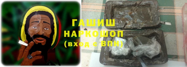 PSILOCYBIN Алзамай