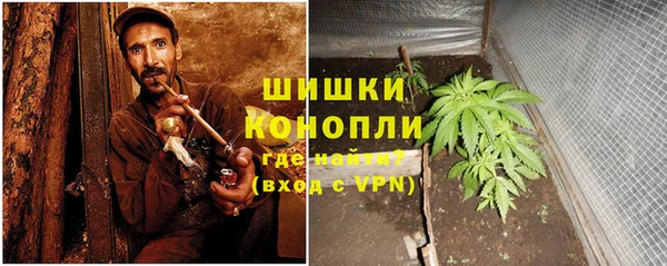 PSILOCYBIN Алзамай