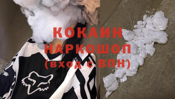 PSILOCYBIN Алзамай