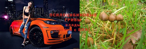 PSILOCYBIN Алзамай